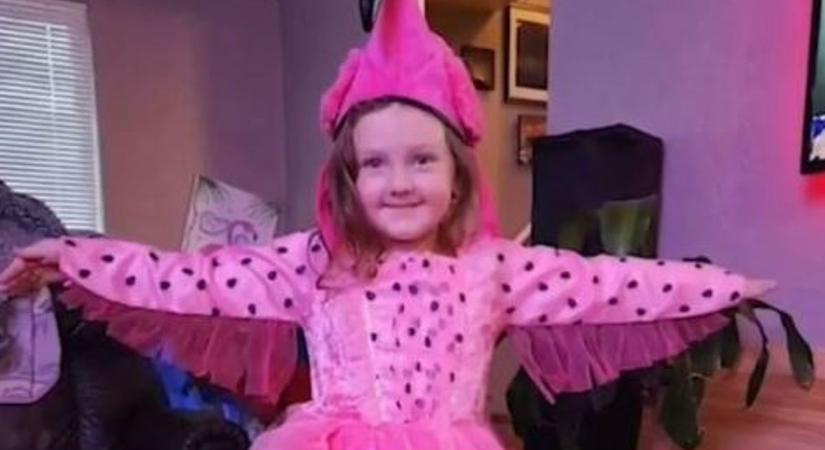 "Másokban él tovább" - halálra fojtotta a hinta az ötéves kislányt