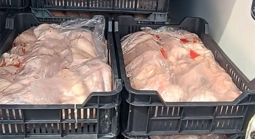 Akció a sztrádán: túlsúlyos furgon, romlott hús