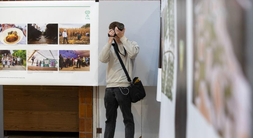 Sajtófotó-kiállítás Pécsen: több mint ezer kép érkezett (galéria)