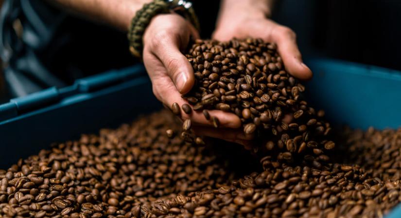Betilthatják a koffeinmentes kávét, mert rákot okozhat