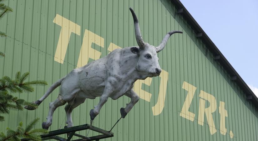 Környezetszennyezés: közleményt adott ki a Tedej Zrt.