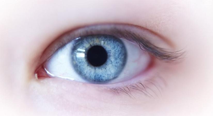 Kilenc döbbenetes ok, hogy mitől romlik a látásunk