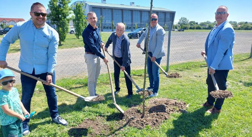 Faültetés: a Sárvári Gyógy- és Wellnessfürdő is csatlakozott a városi akcióhoz