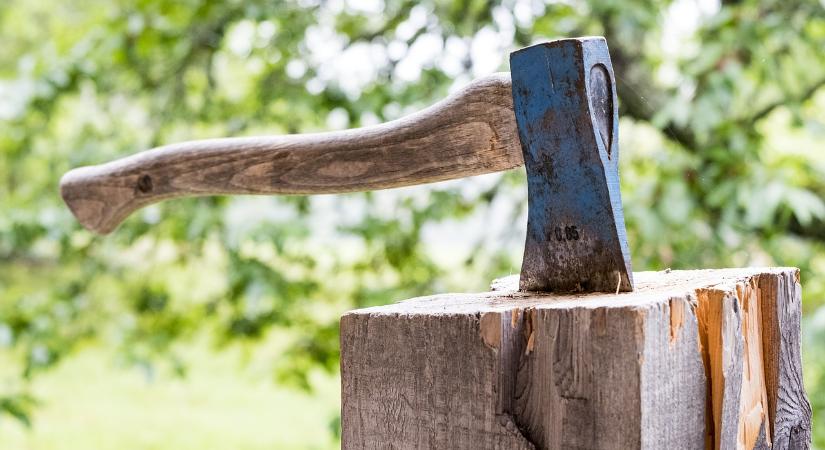 Baltával rongálták meg a Hello Wood építményeit a balatoni tanúhegyen