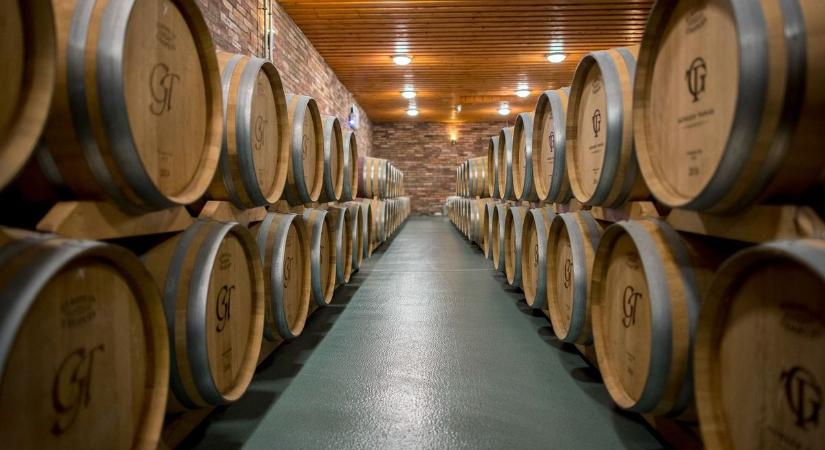 Évi tízmilliárdos támogatás segíti a szőlőtermelőket és a borászokat