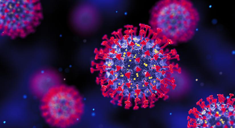 Riasztó dolgot állítanak a tudósok a koronavírusról