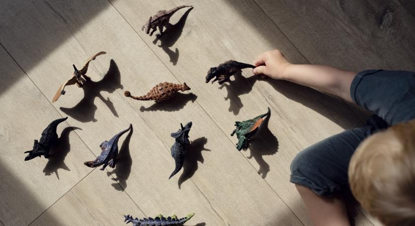 Megkövesedett dinoszaurusz-lábnyomot talált egy nagypapa és unokája