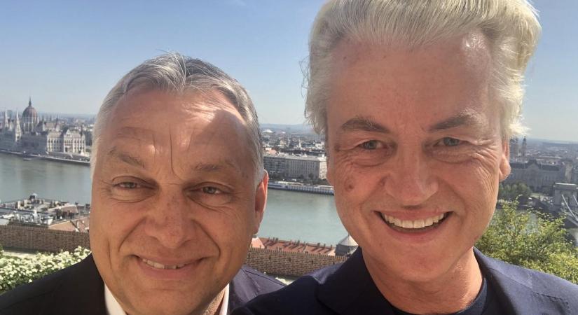 Nagyon úgy tűnik, hogy sikerül kormányt alakítania Orbán Viktor iszlámellenes holland barátjának: ezt lehet tudni Geert Wildersről