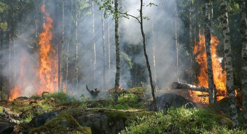 Az oroszok a Krímet fenyegető veszélyre figyelmeztettek