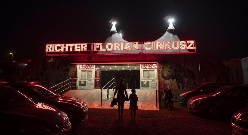 Megbocsátott a történtekért a Richter Cirkuszban fejsérülést szenvedett néző
