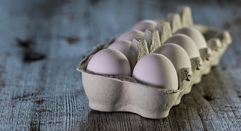 A héjas tojás exportja 58%-kal nőtt