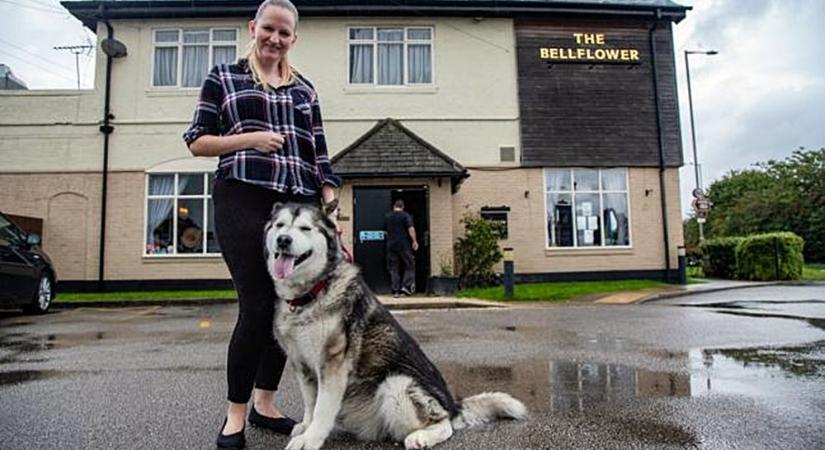 Nagy-Britannia legjobb kutyás pubja külön kutyasörrel és botkölcsönzővel vár