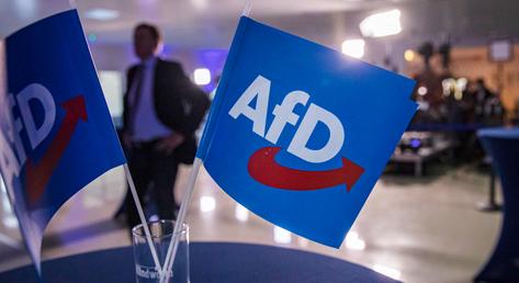 Kizárja a német AfD-t a szélsőjobboldali Identitás és Demokrácia EP-frakció