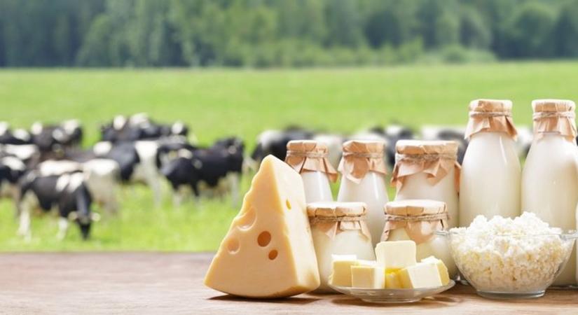 Szeretjük a tejtermékeket, de az infláció átrendezte a piacot