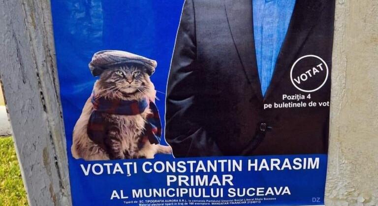 A választási kampány poénja: macskájával pózol egy jelölt a plakáton – „Oscar és én győzni fogunk”