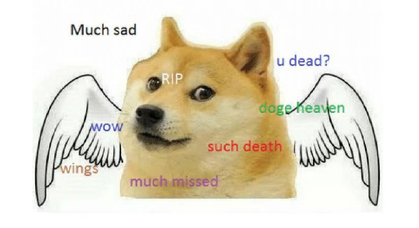 Meghalt Doge, a mémkorszak legnagyobb sztárja, az internet Mona Lisája