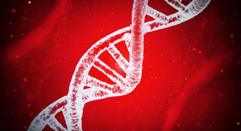 A fiatal lány csináltatott egy DNS-tesztet: rettenetes titkot tudott meg a nagymamájáról