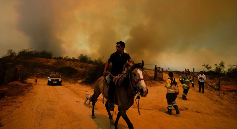 Chilében egy tűzoltó és egy erdészeti tisztségviselő okozhatta szándékosan a februári erdőtüzeket  videó