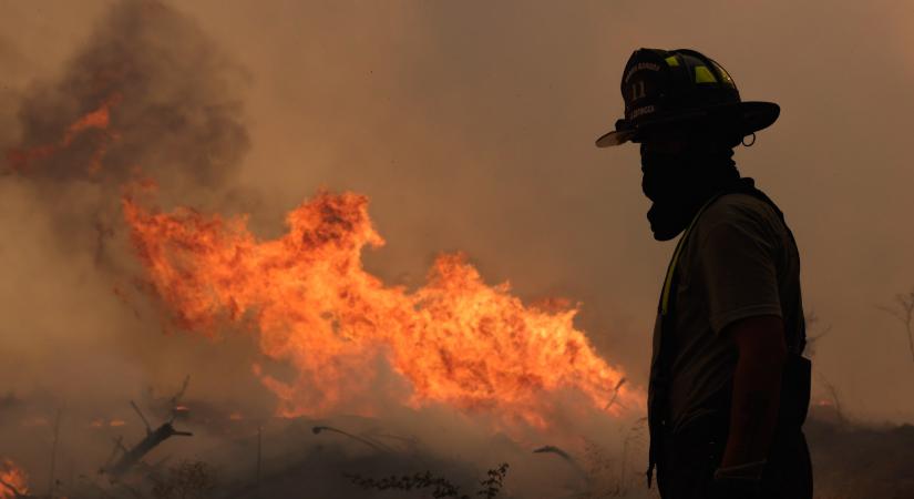 Szándékosan okozott erdőtüzet egy tűzoltó, 137-en haltak meg