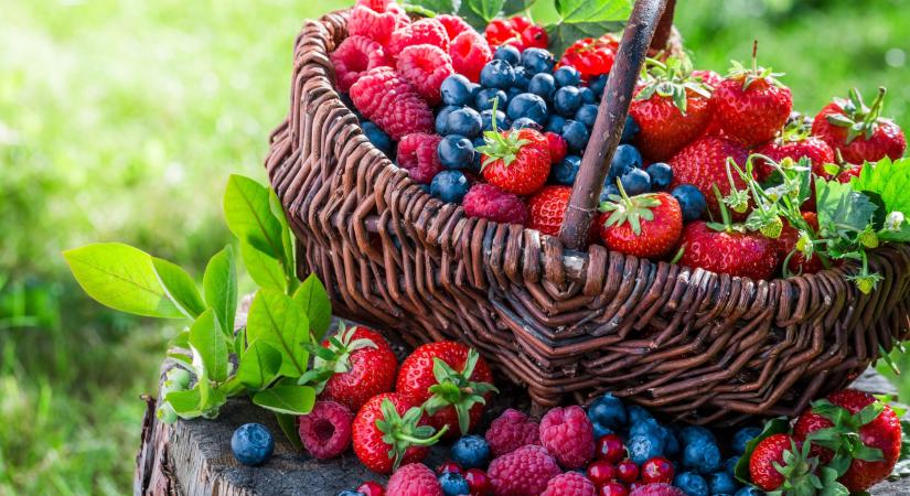 A legegészségesebb bogyós gyümölcsök, amikből megéri szemezgetni