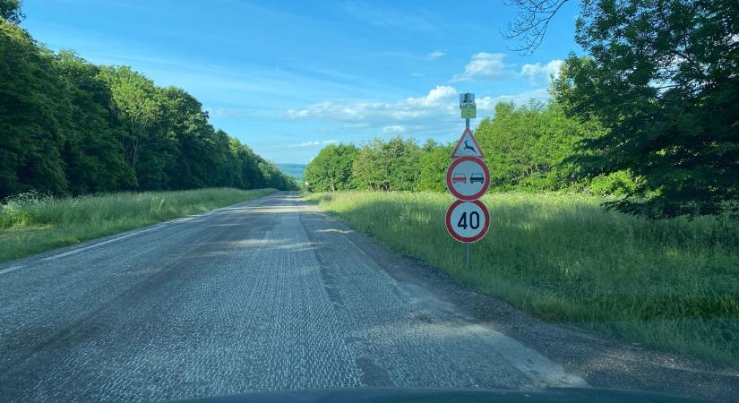 Teleszórták a bakonyi utat 40-es és előzni tilos táblákkal – Megtudtuk, mikor újítják fel