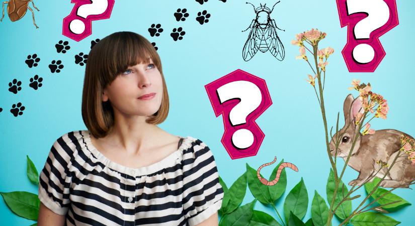 Műveltségi kvíz: hány élőlényt találsz el a tízből?