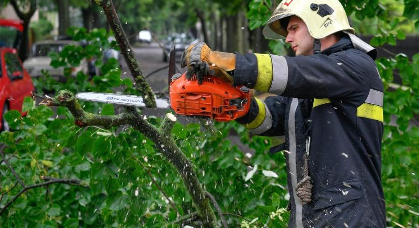 A ruzsai mentőállomás szertárára dőlt egy hatalmas faág