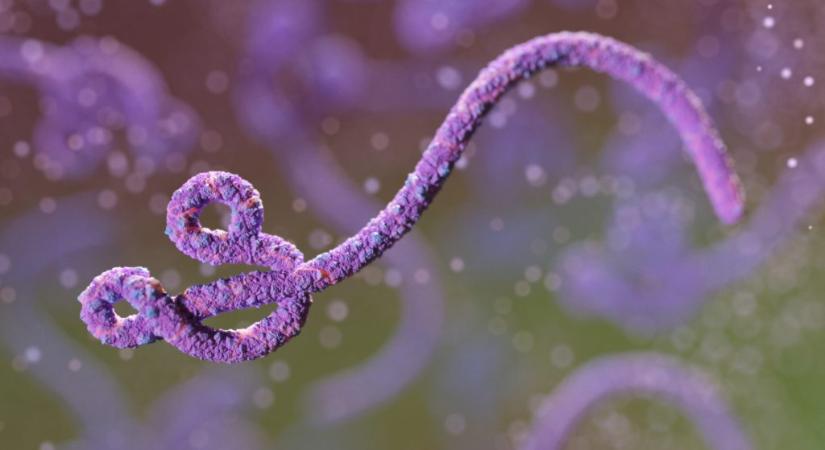 Ebolaszerű vírust hoztak létre egy kínai laborban