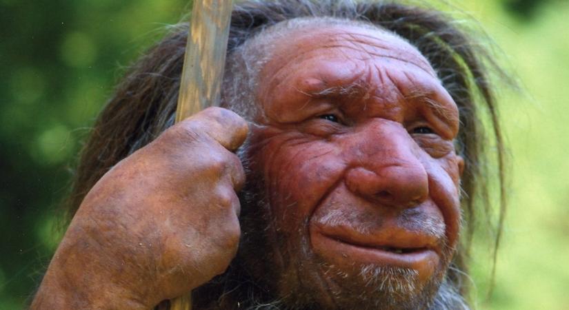Csak rövid ideig keveredett a modern ember a neandervölgyiekkel