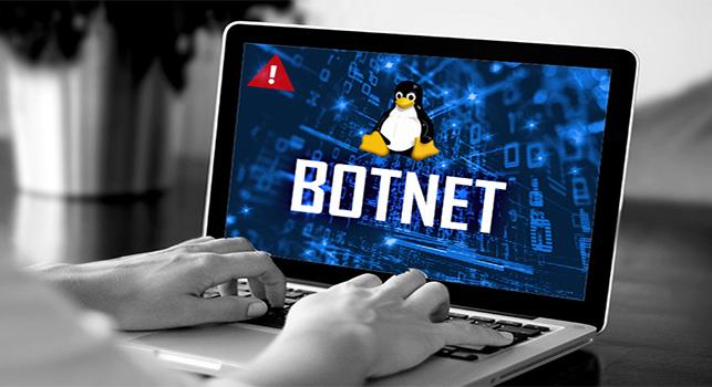 Linuxos kiszolgálókat kebelezett be az Ebury botnet