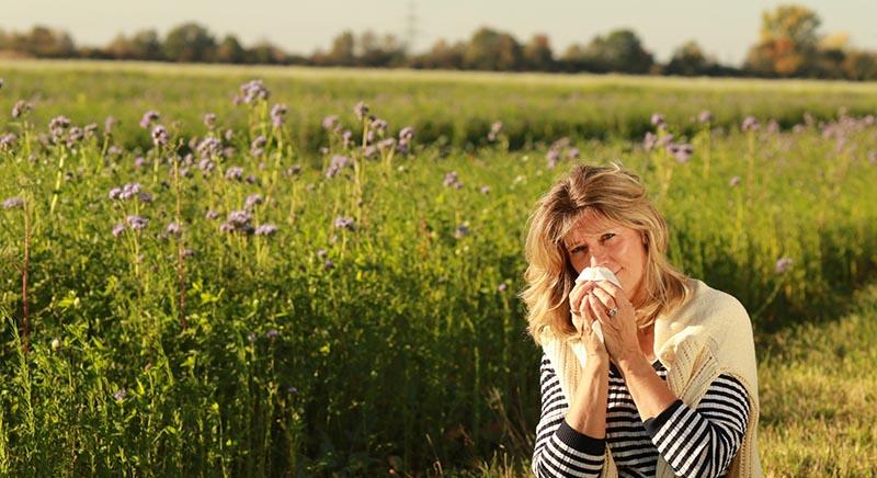 Túlélési útmutató a nyári allergiához: 51 hasznos tipp a megkönnyebbülésért