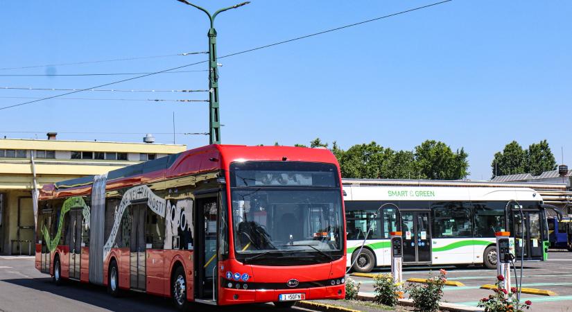 Csuklós elektromos BYD buszt tesztelnek Miskolcon