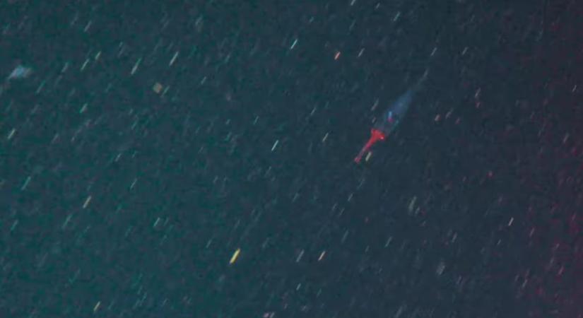 Rejtélyes tengeri óriásról készült videó