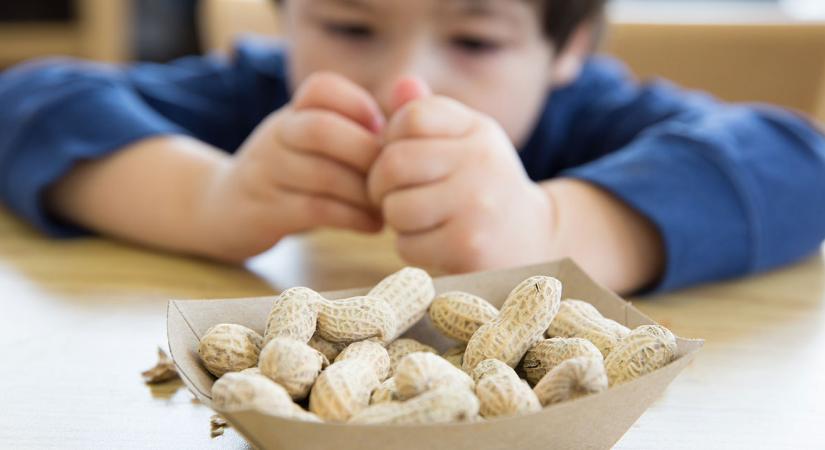 Egy egyszerű étrendi változtatással megelőzhető lenne a mogyoróallergia a gyerekeknél