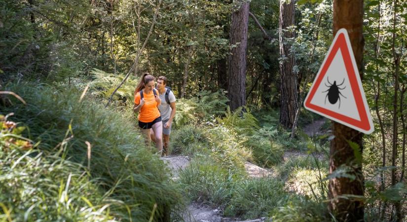 5 hatékony illóolaj, amivel távol tarthatod a kullancsokat