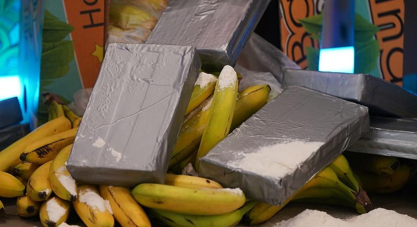 Már megint gond van a banánnal, újabb szállítmány szennyeződött be kokainnal