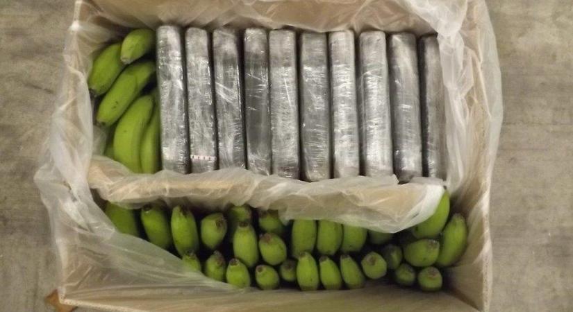 Banánszállítmány közé rejtett kokain – ezúttal Szentpéterváron