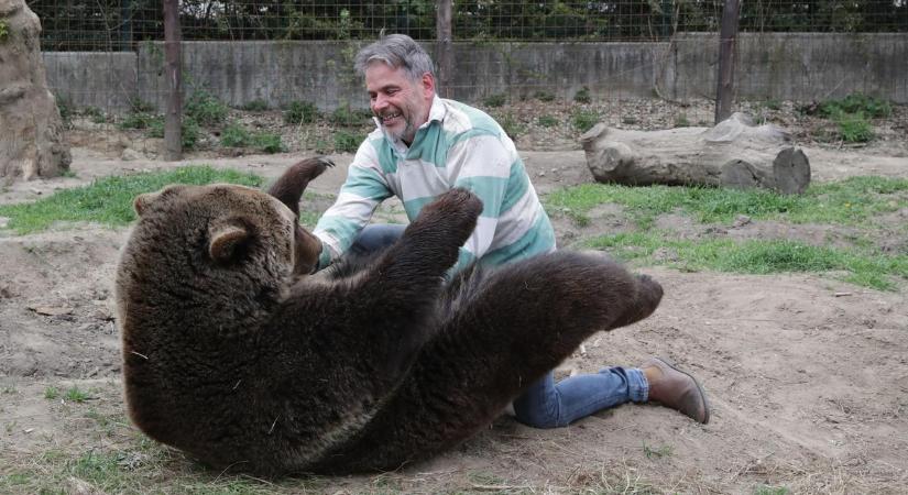Saját medvéjével keverte össze az aszódi kóbor vadállatot a magyar Farkasember