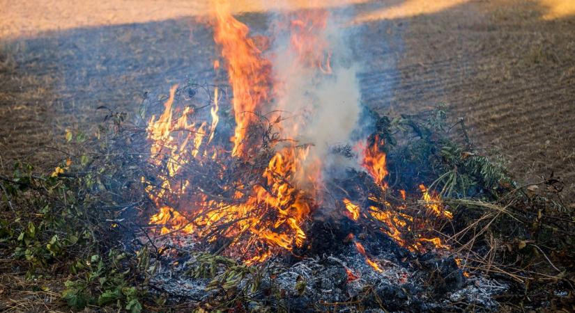 A régi szeméttelepen csaptak fel a lángok Bélmegyeren