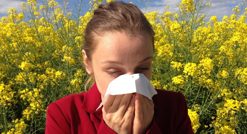 Így enyhíthetők az allergia tünetei