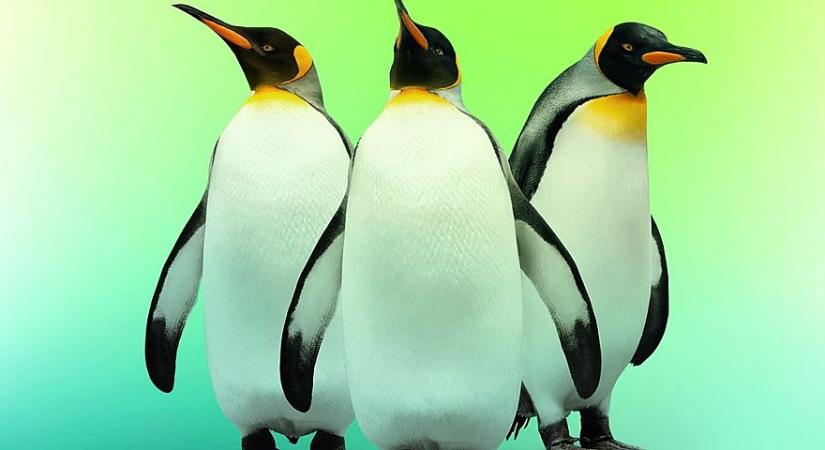 Ingyenes vírusirtó programot adott ki Linux-ra a Kaspersky