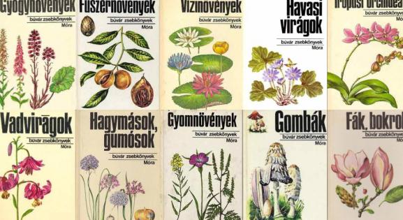 Emlékszel a Búvár Zsebkönyvekre? Emlékművet kapott a botanikusnő, aki illusztrálta