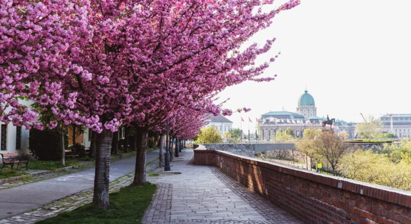 Az idei volt Magyarország legmelegebb tavasza