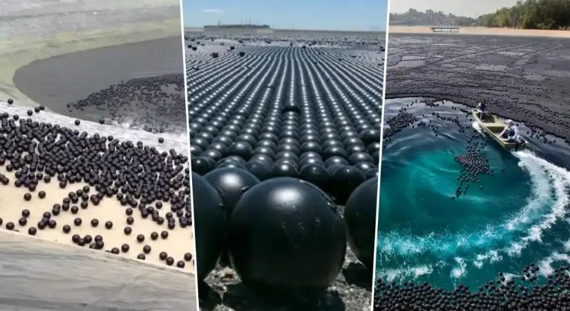 96 millió fekete labda egy víztározóban