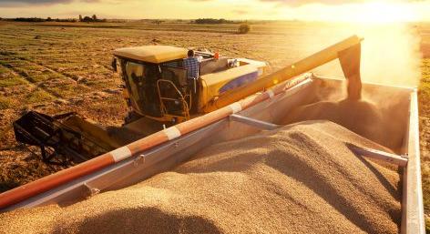 Az ukrán gabonaexport hatása a magyar gabonapiacra és mezőgazdaságra