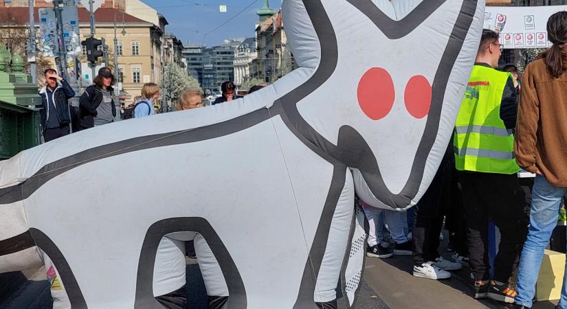 Kétfarkú Kutya Párt a visszalépésről: Kár, hogy a Fidesznek ezt a versenyt is sikerült elcsesznie