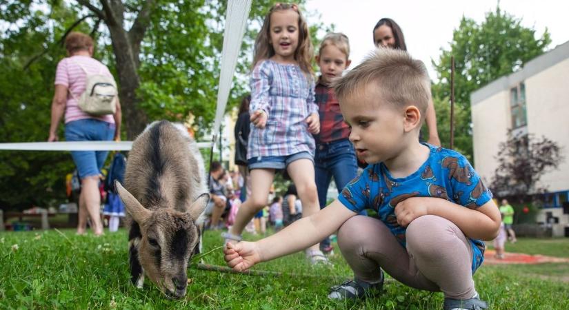 Gyereknap a Kemény Zsigmond Utcai Óvodában – fotókkal, videóval