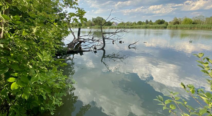 Folyamatos a készültség: a Duna teljes hazai szakaszán érezteti hatását az árhullám