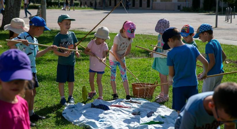 Környezetvédelem: zöld pikniket tartottak a gyerekeknek Kecskeméten – galériával