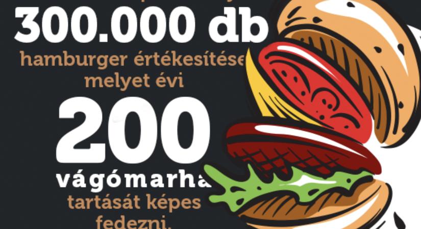 Évi 300.000 hamburger értékesítése 700 szürkemarha fennmaradását biztosítja